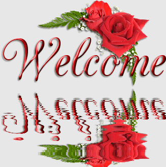 welcome to my vip blog